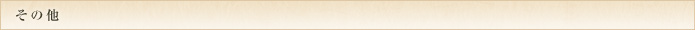 その他